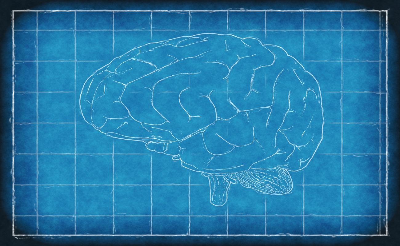 Usiamo davvero solo il 10% del nostro cervello? Usiamo davvero solo il 10% del nostro cervello?