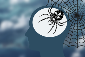 aracnofobia e psicoterapia