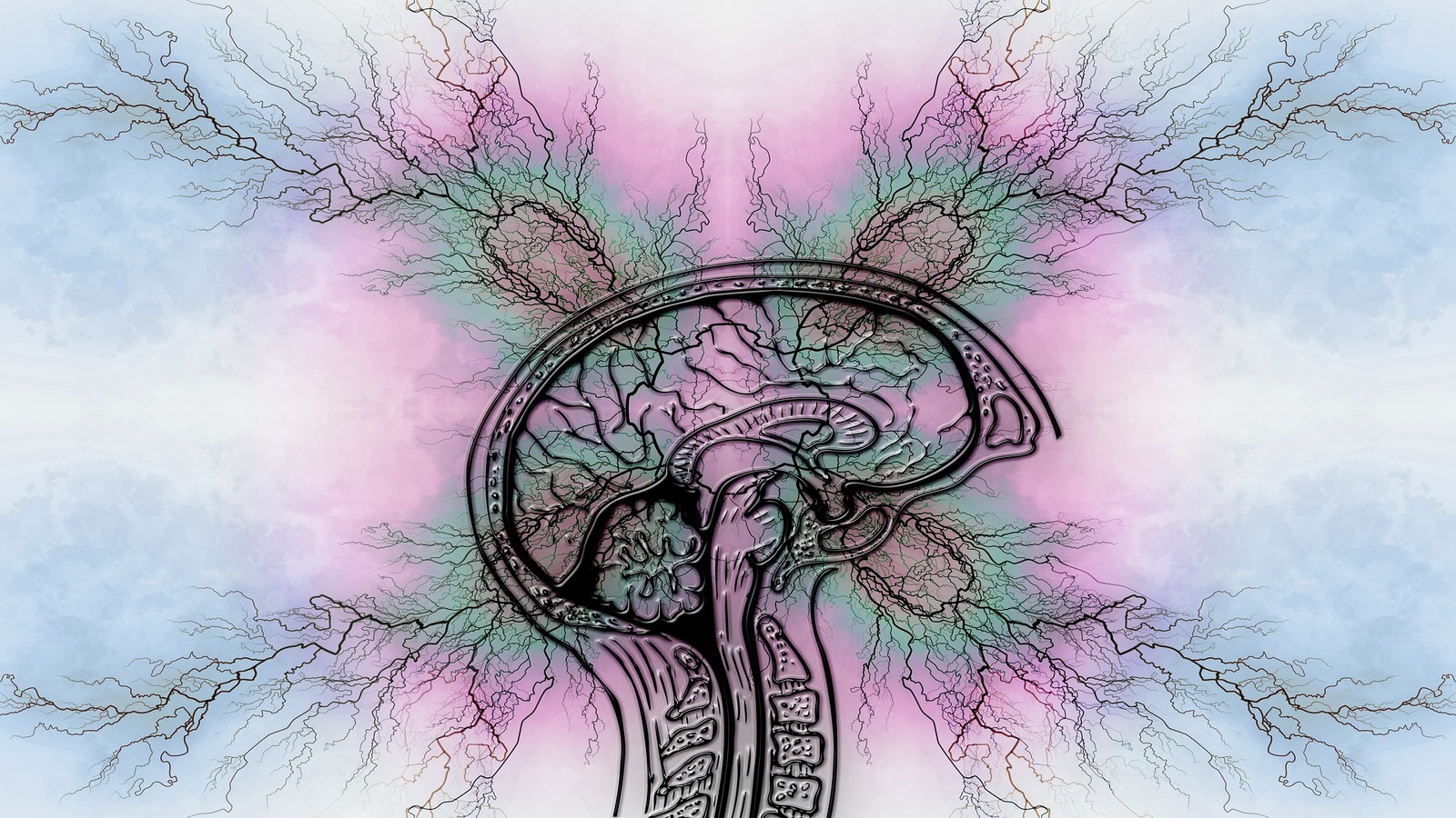 Psicoterapia e cambiamenti nel cervello: studi condotti sui disturbi di ansia Psicoterapia e cambiamenti nel cervello: studi condotti sui disturbi di ansia