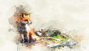 cos'è la dissonanza cognitiva